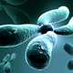 Illustration for article titled Biologists Have Built An Artificial Chromosome From Scratch